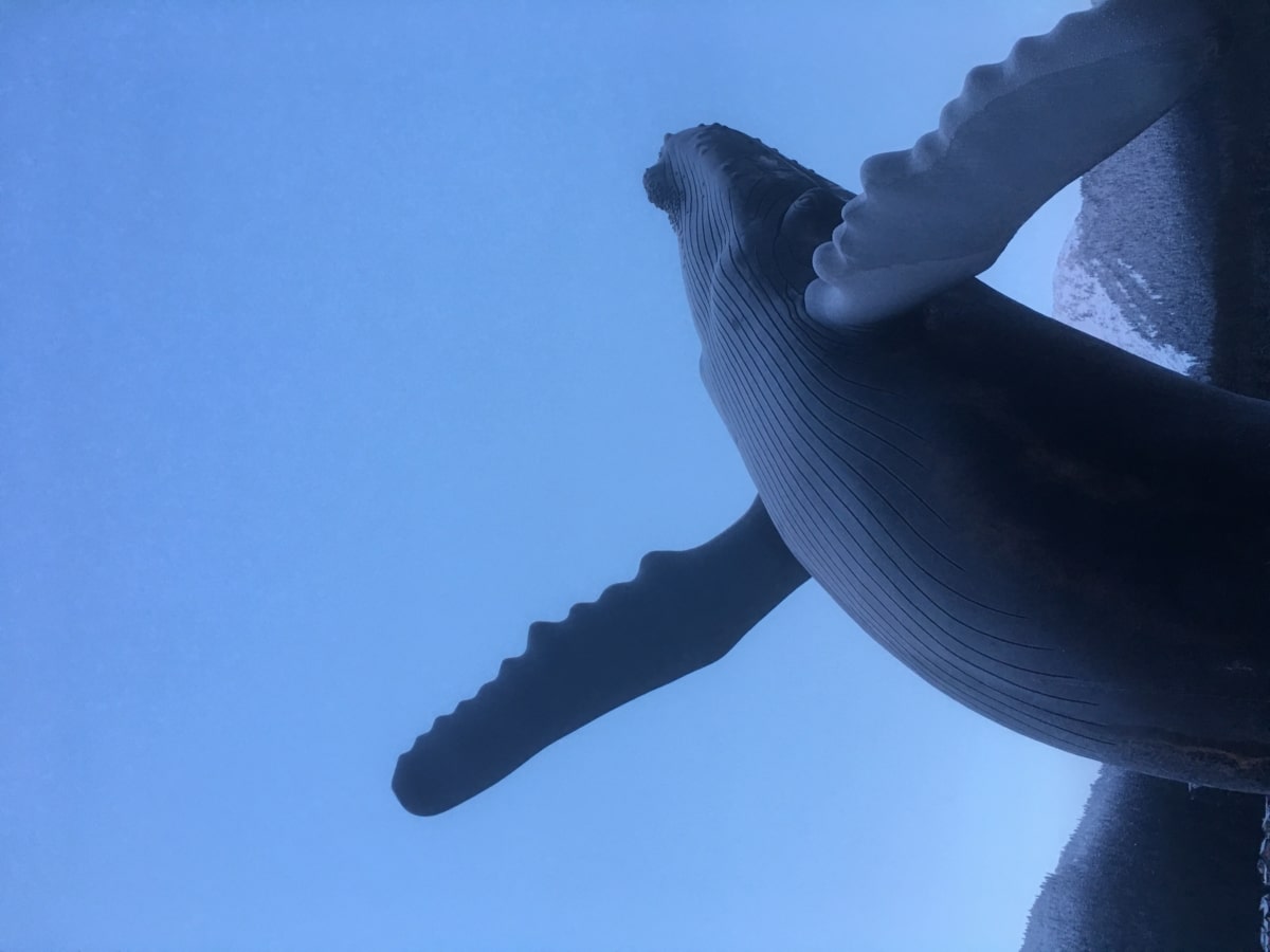 Advantages and Benefits for Juneau Juneau District Heating